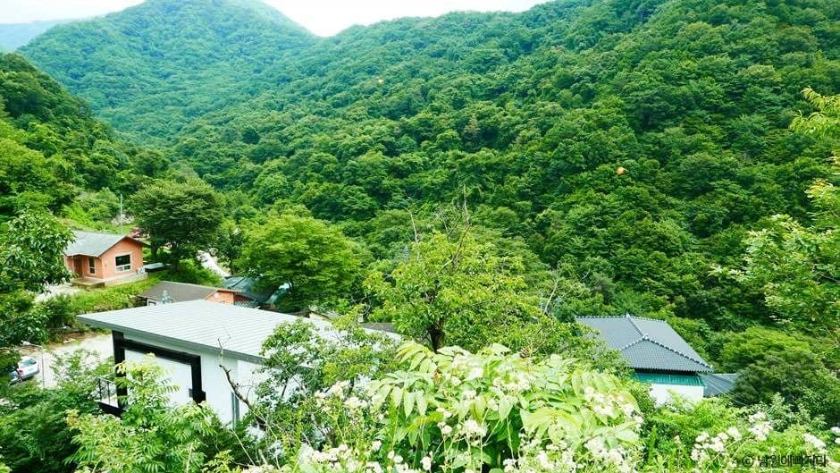 남원_지리산 천년송 (2)