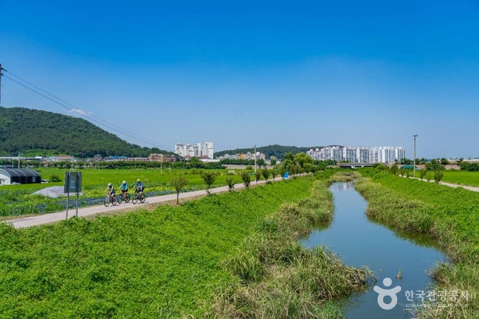 시흥_시흥 그린웨이 (5)