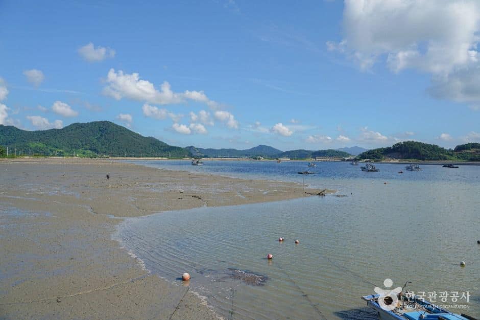 진도_쉬미항 (6)