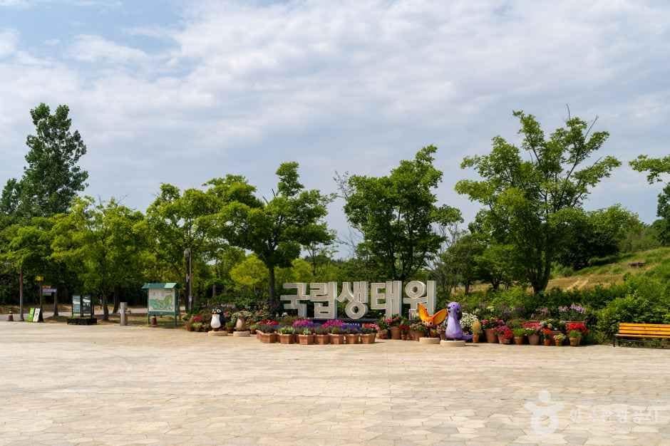 국립생태원 (1)