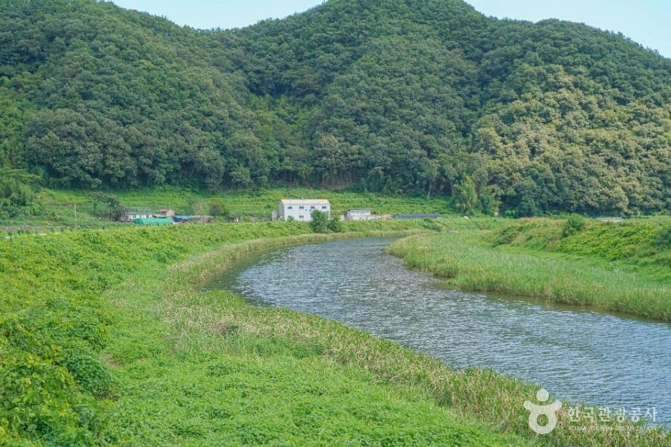 사천_상정 비봉내마을 (3)