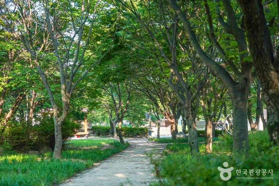 고령_미천공원 (6)