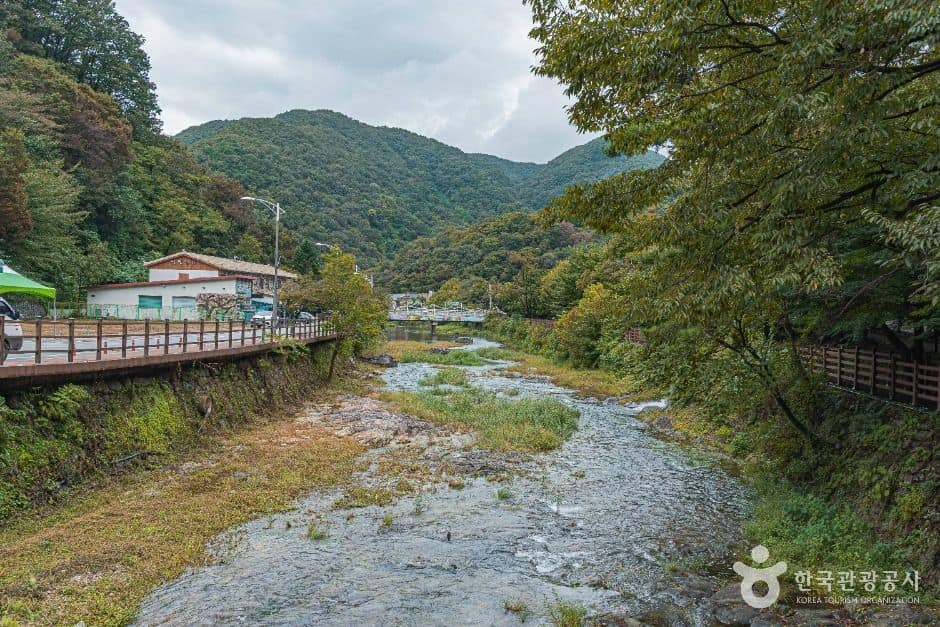 정읍_정읍 내장산 관광특구 (6)