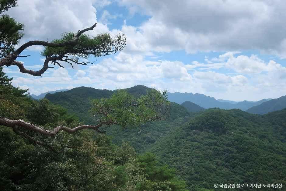 괴산_도명산 (6).jpg