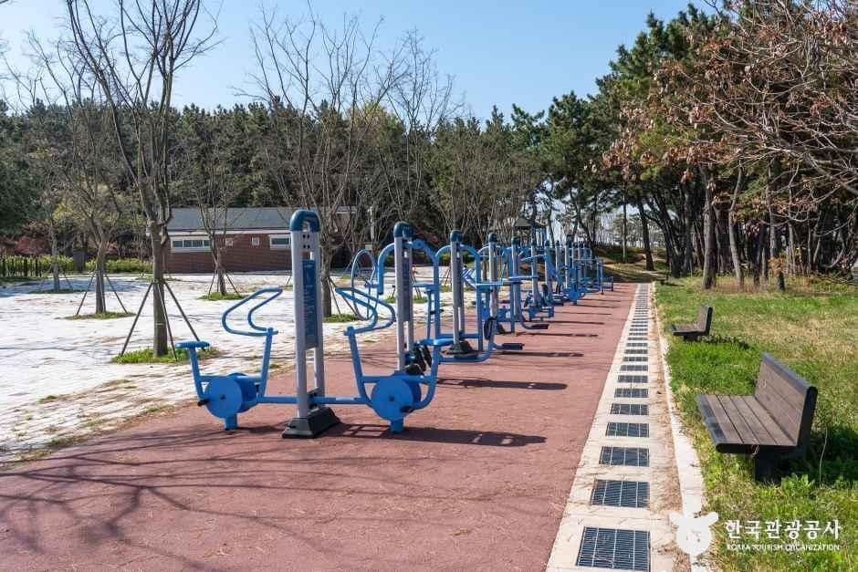 안산_대부도공원 (5).jpg