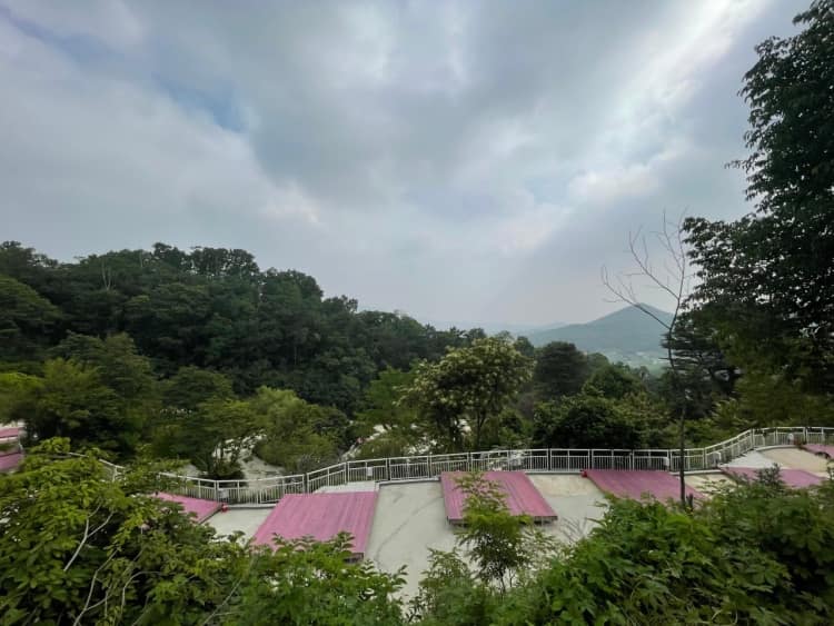 추가_박_인천_강화_강화버팔로캠팜_풍경3