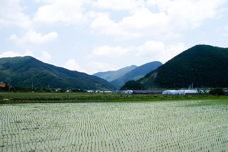 경남_산청군_송하마을_전경 (4)