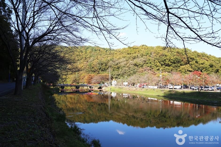 입곡 저수지 드라이브길 (11)