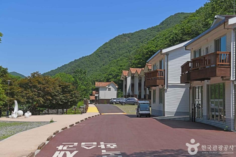 느티골산림욕장 (2)