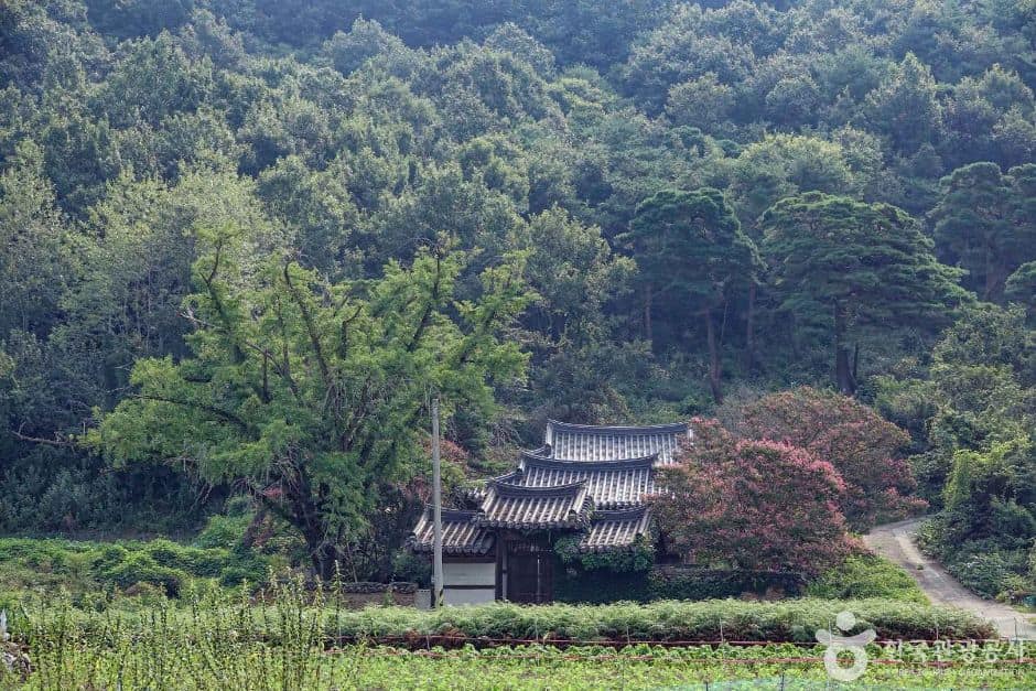 의양서원 (1)