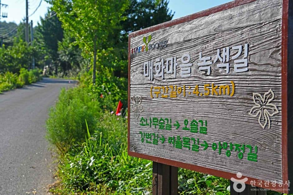 평창_매화마을 녹색길 (1)