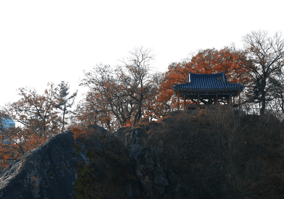 자온대 (1)