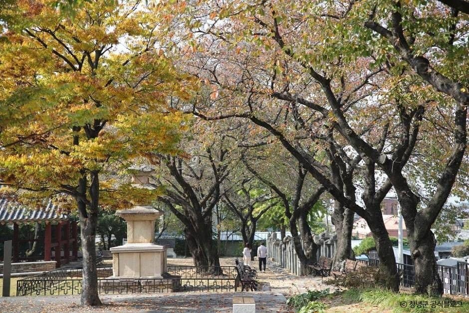 창녕 만옥정공원 (1)