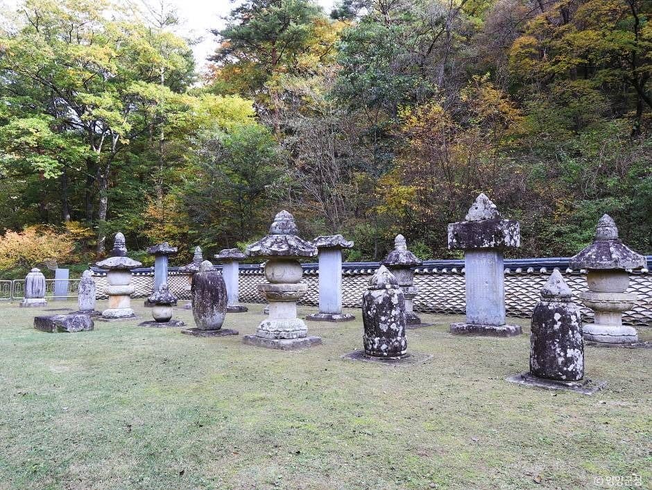 양양_명주사부도군 (1)