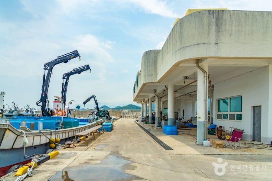강원고성_가진항 (3)