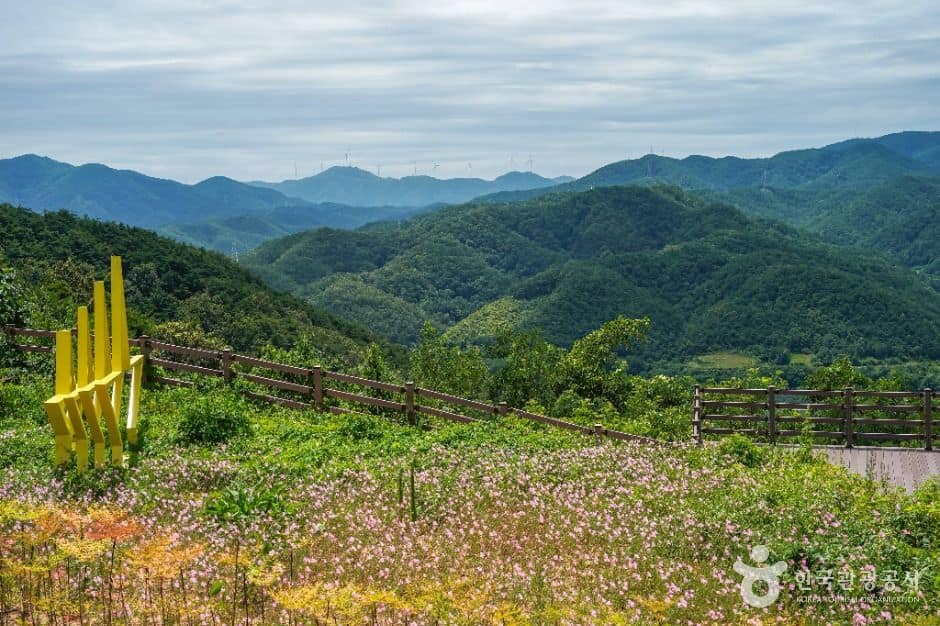 의성_달빛공원 (5)