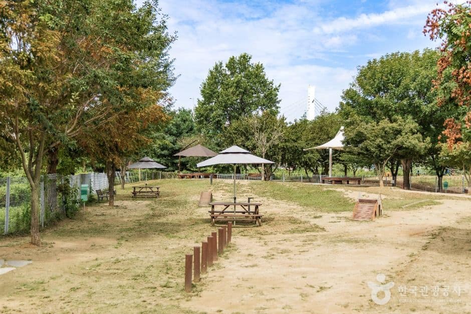 용인_기흥호수공원 반려동물놀이터 (7)