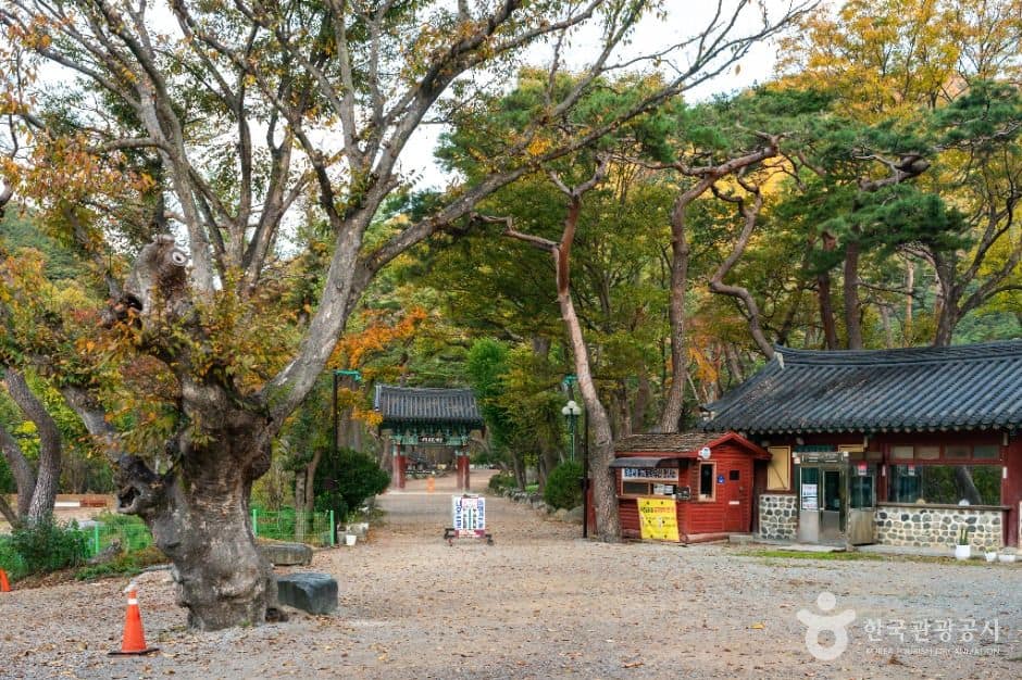 포항_보경사 (6)