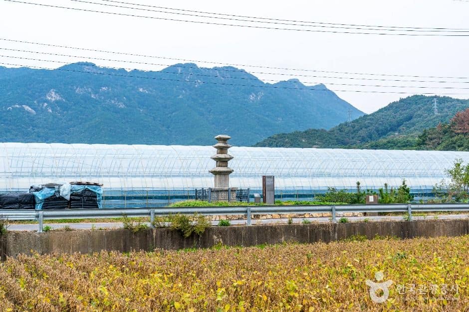 장성_진원리 오층석탑 (6)