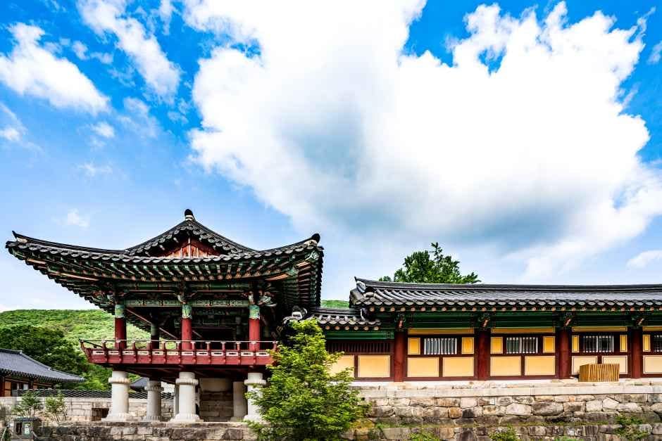 영광_불갑사(영광) (6).jpg
