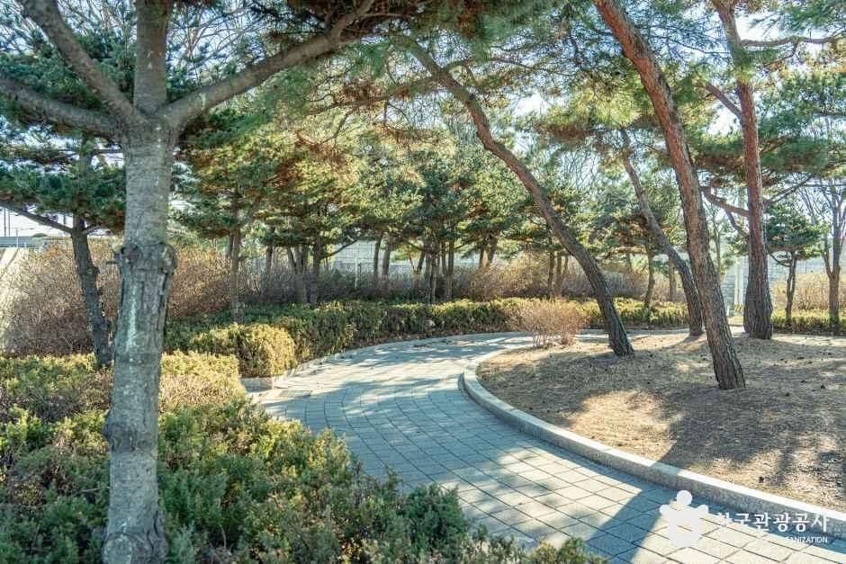시흥_오이도기념공원 (6).jpg