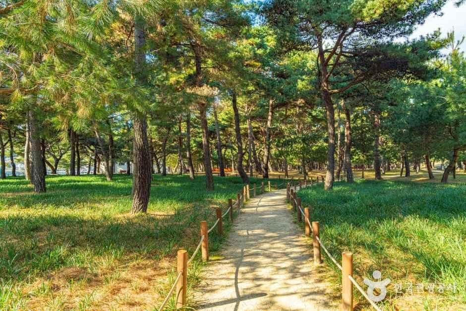 하동_지리산 별천지마을 (6).jpg