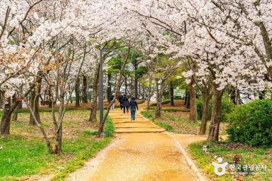 광주_문화근린공원 (1).jpg