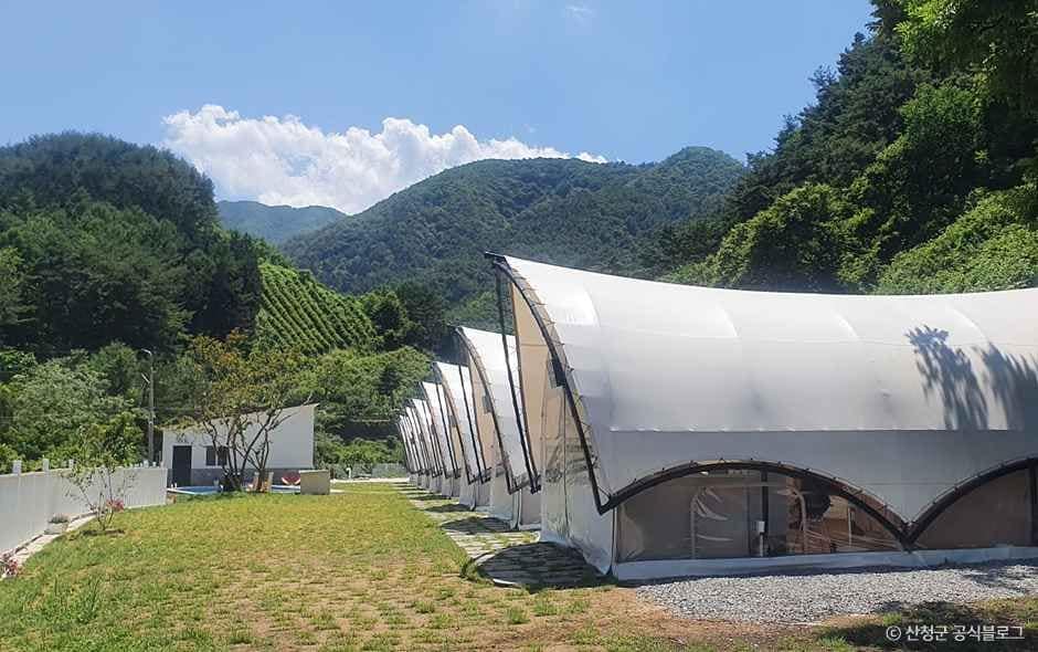 산청_꽃길글램핑 (1).jpg