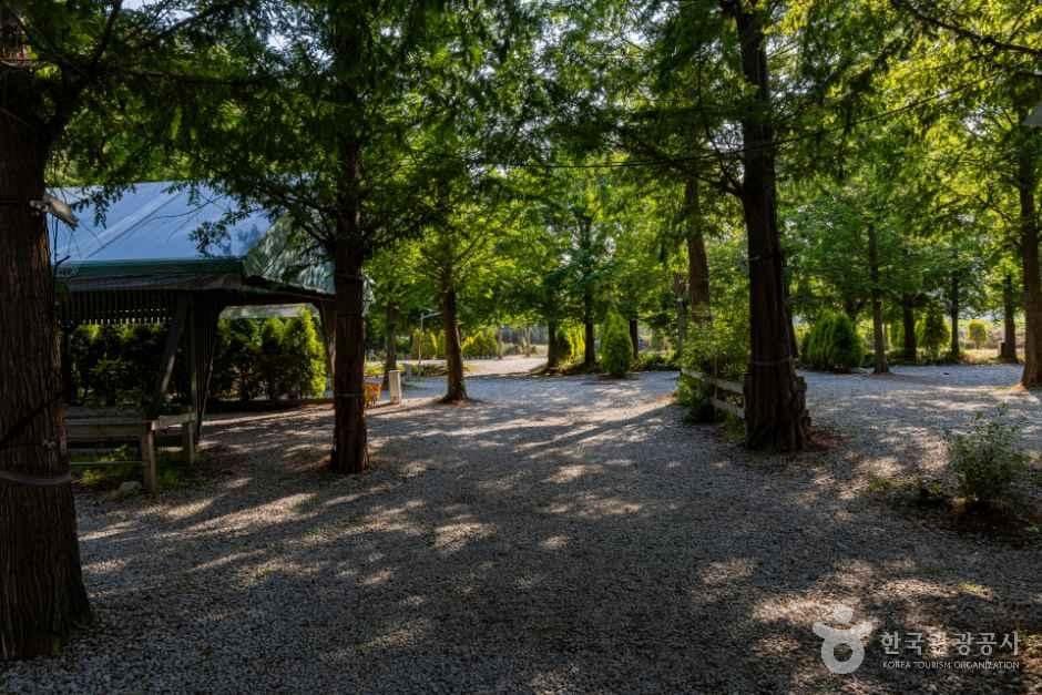 강화_강화도산들애캠핑수영장 (9).jpg