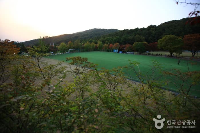 태조산공원(조각공원,인공암벽등반장)_31