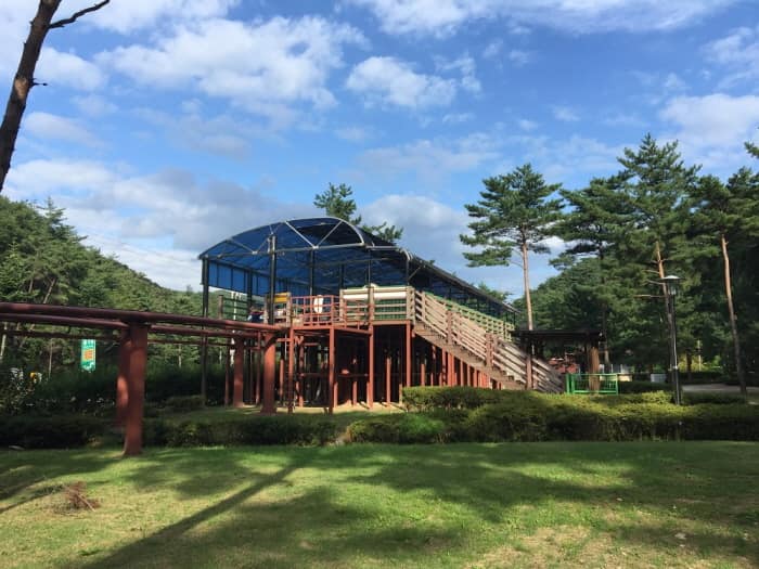 솔향공원 스카이바이크_(4)