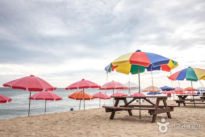 강원_강릉_송정해변(송정해수욕장)11