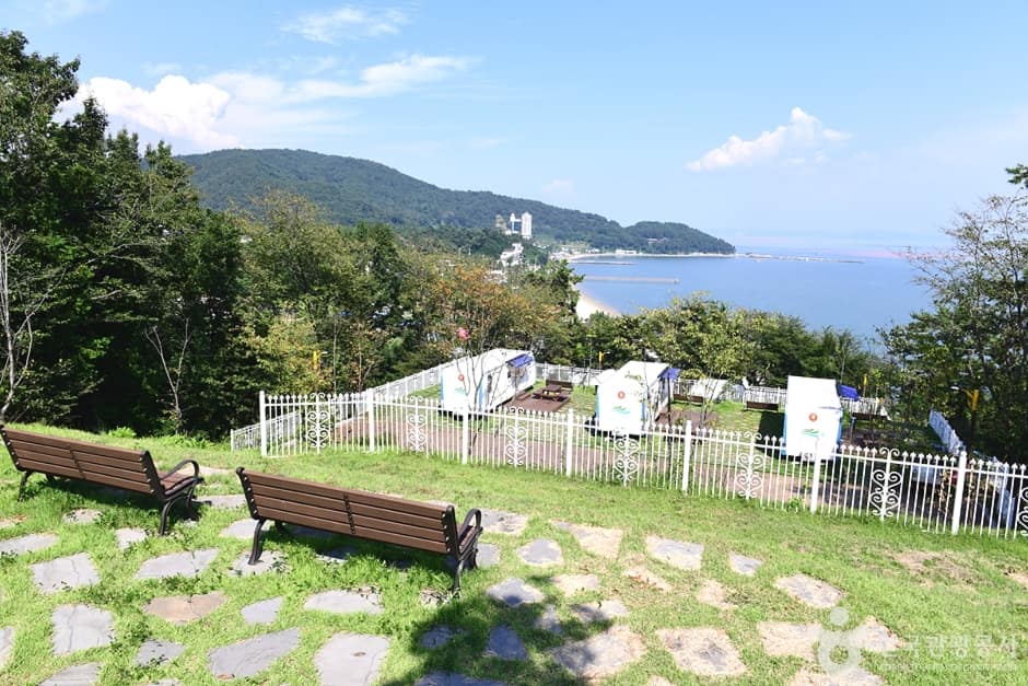 전남_장흥_수문랜드 블루투어 오토캠핑장 (6)