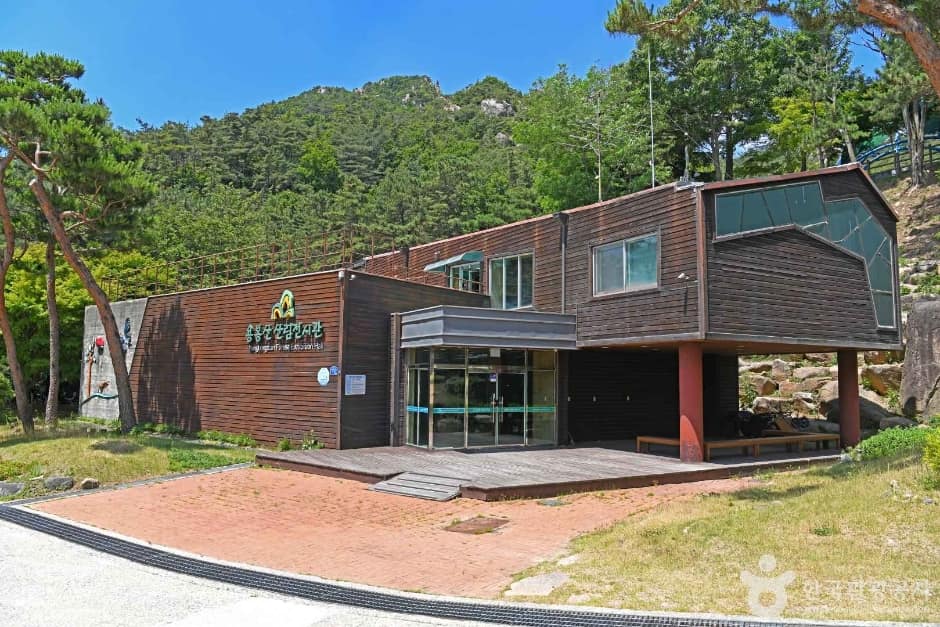 용봉산자연휴양림 (2)