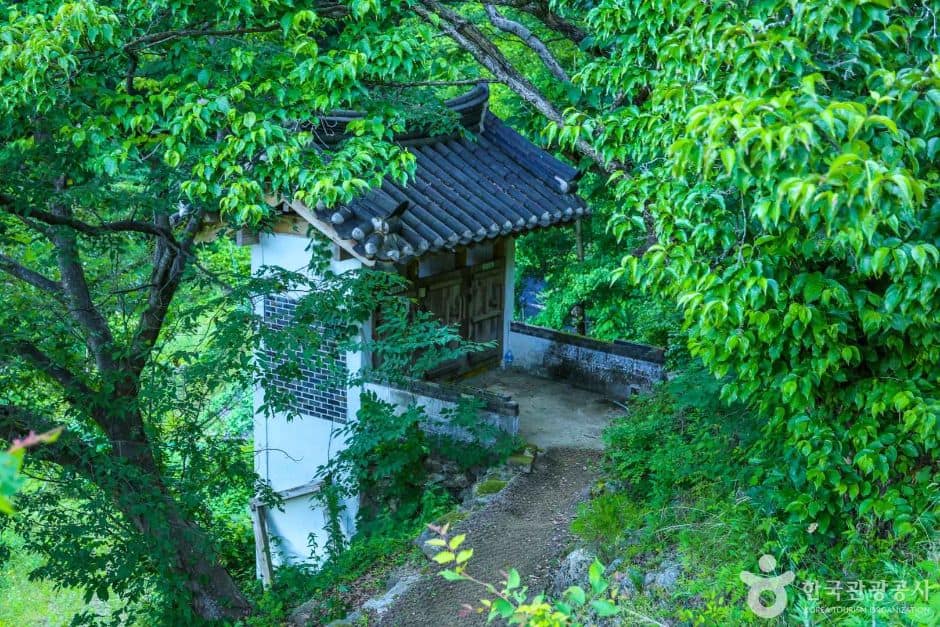 대구군위_압곡사(군위) (6)