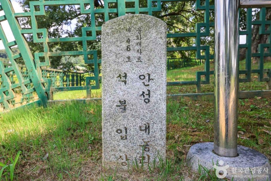 경기_안성_안성대농리석불입상 (7)