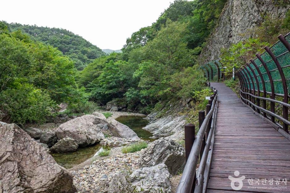 청송_용절골협곡(청송국가지질공원) (6)