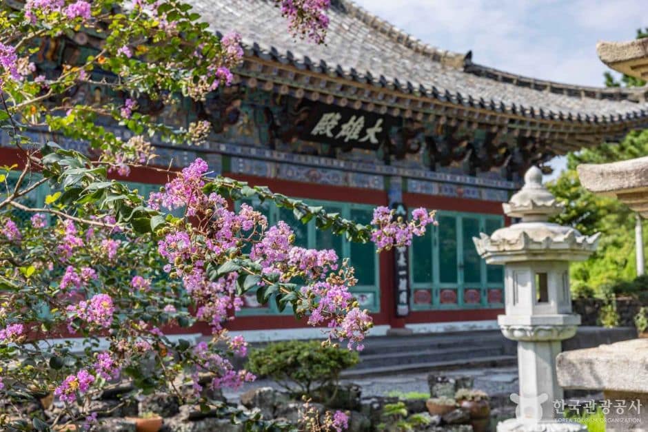 제주_제주시_금룡사(제주) (10)