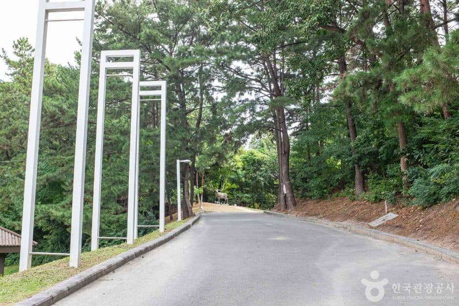 포항_포항시립미술관 (1)