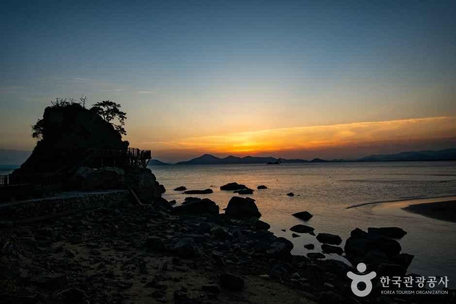 몰운대