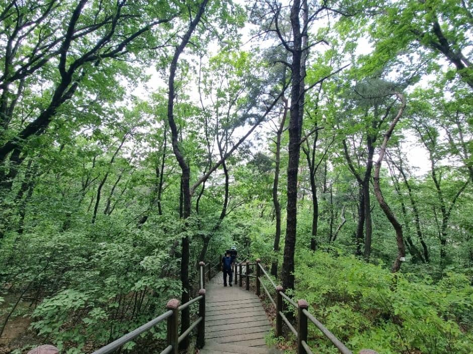 [서울둘레길 9코스] 대모·구룡산코스 (8)