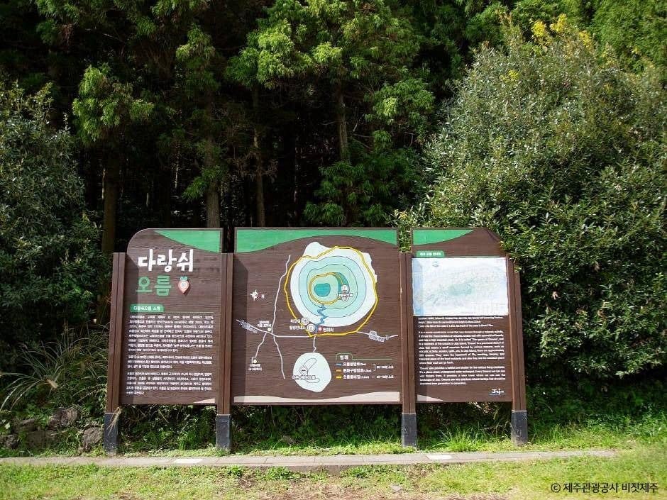 제주_아끈다랑쉬 오름 (5)