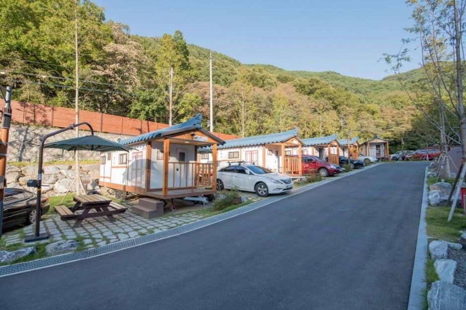 대구_진밭골야영장 (1)