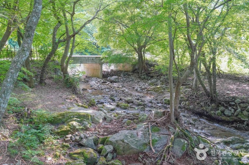 담양_용흥사계곡 (5)