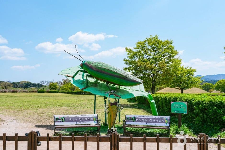 경주_경주 비단벌레 전동차 (5)