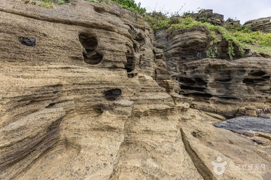 제주_[제주올레 10코스] 화순-모슬포 올레 (9)