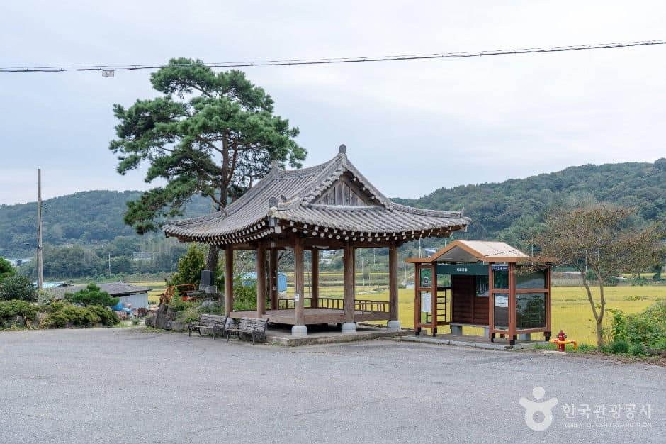 담양_담양 시목마을 (6)