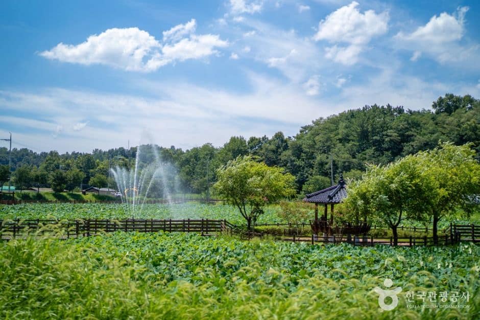 성주_뒷미지수변공원 (6)