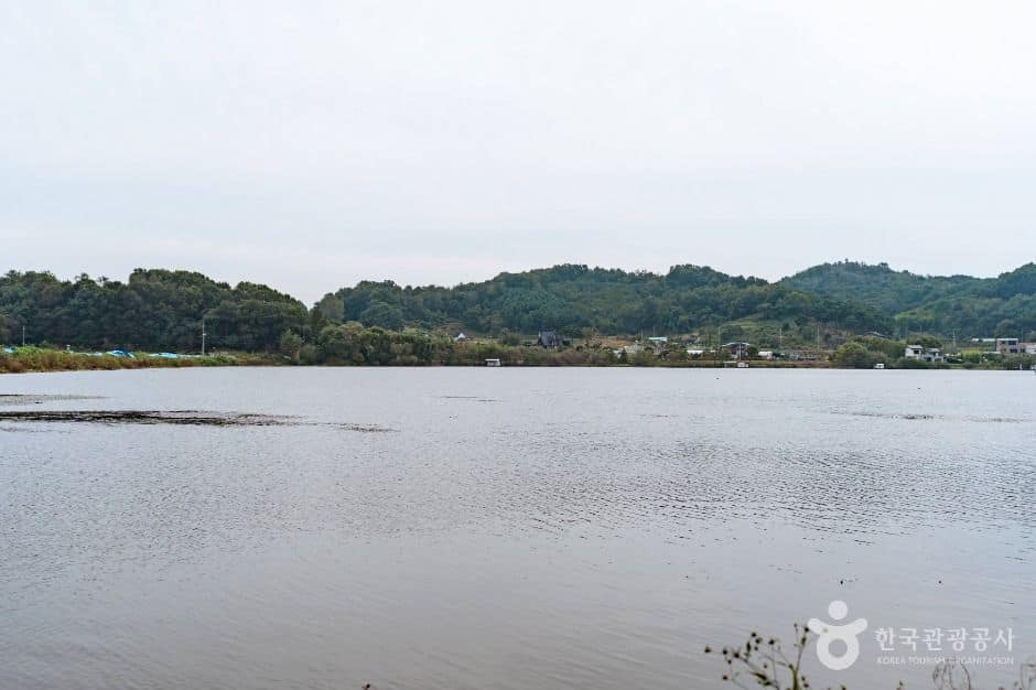 당진_면천낚시터(5)