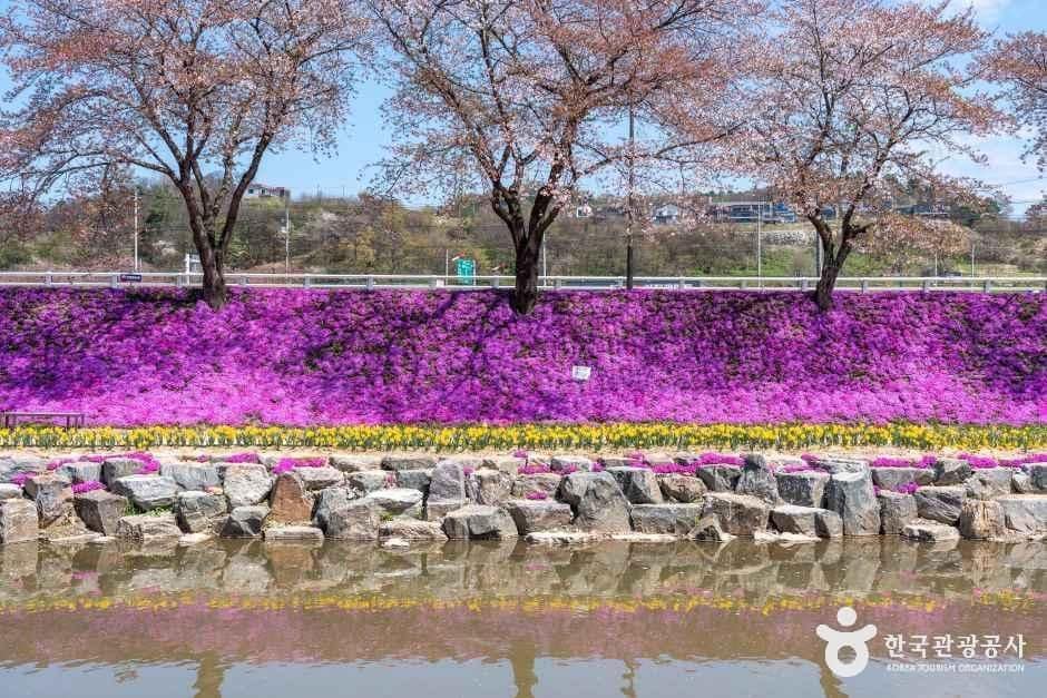 전북_순창_순창 양지천 꽃잔디길_외부_06.jpg